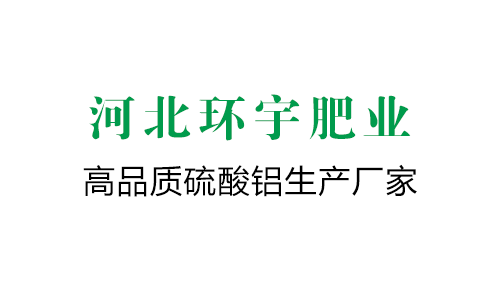 擋邊皮帶輸送機